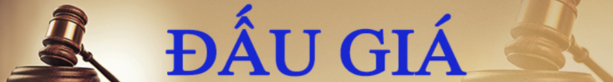 Đấu giá